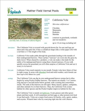Mather Field Vernal Pools California Vole