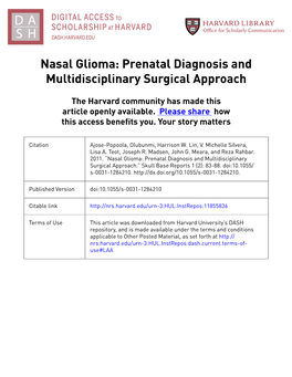 Nasal Glioma: Prenatal Diagnosis and Multidisciplinary Surgical Approach