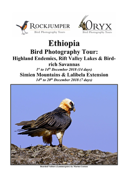Ethiopia Bird Photography Tour