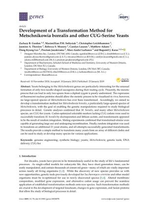 Development of a Transformation Method for Metschnikowia Borealis and Other CUG-Serine Yeasts