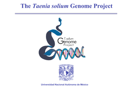 The Taenia Solium Genome Project