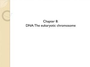 Chapter 8: DNA: the Eukaryotic Chromosome Learning Objectives