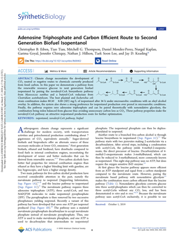 Adenosine Triphosphate and Carbon Efficient Route to Second