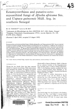 Ectomycorrhizas and Putative Ectomycorrhizal Fungi of Afzelia Africana Sm. and Uapaca Guineensis Mull. Arg. in Southern Senegal