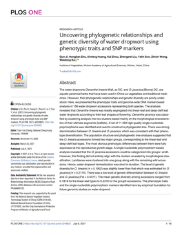 Uncovering Phylogenetic Relationships and Genetic Diversity of Water Dropwort Using Phenotypic Traits and SNP Markers