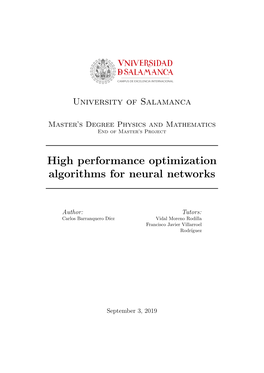 High Performance Optimization Algorithms for Neural Networks