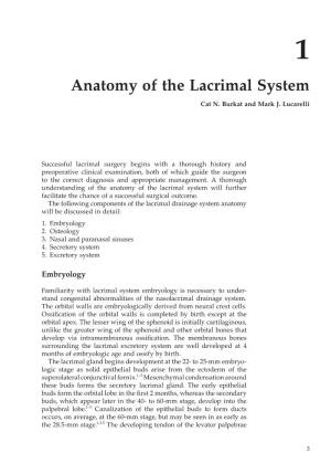 Anatomy of the Lacrimal System