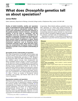 What Does Drosophila Genetics Tell Us About Speciation?