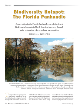 Biodiversity Hotspot: the Florida Panhandle Biodiversity Hotspot