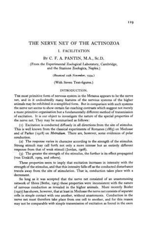 The Nerve Net of the Actinozoa I