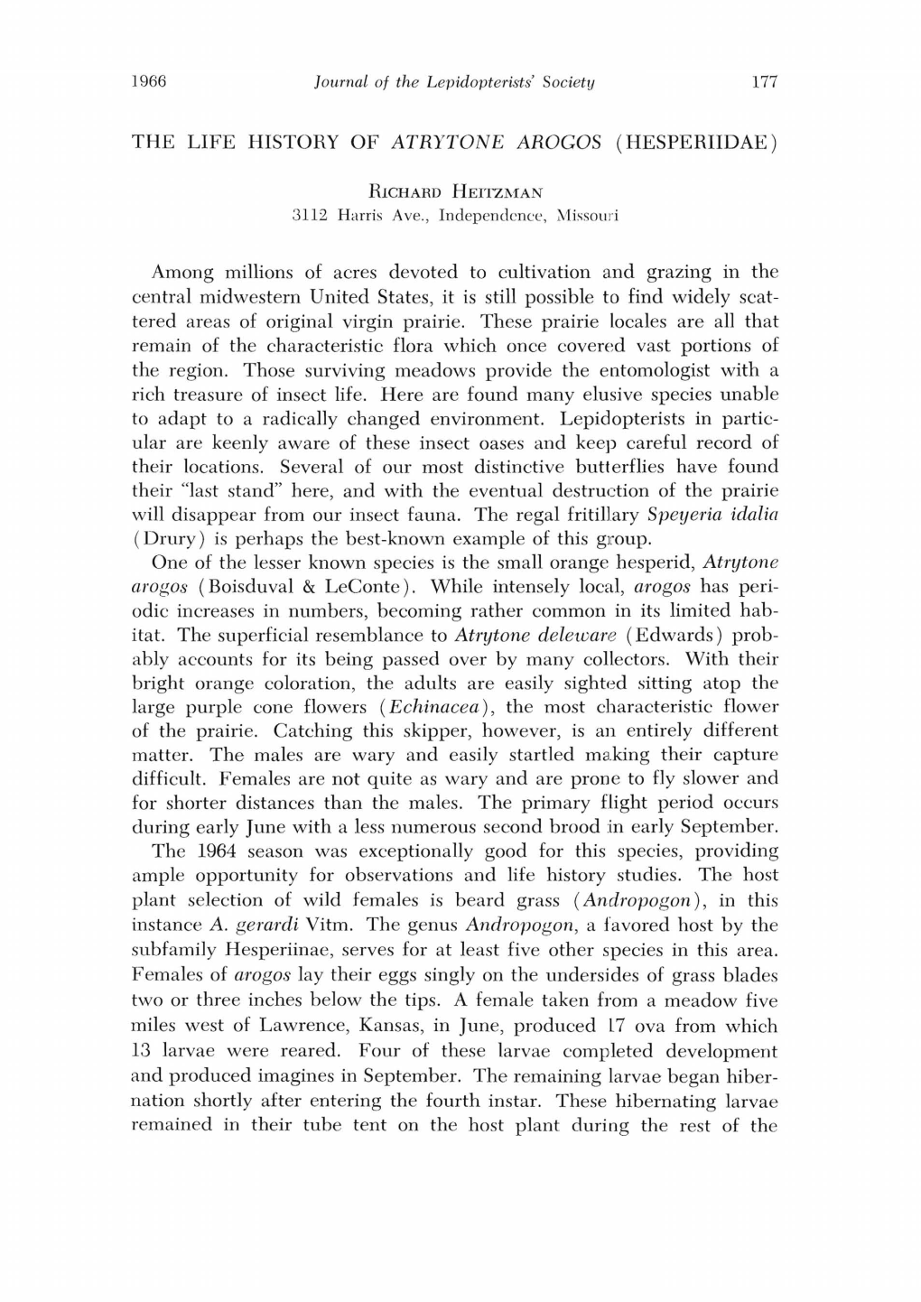 THE LIFE HISTORY of ATRYTONE AROGOS (HESPERIIDAE) Among Millions of Acres Devoted to Cultivation and Grazing in the Central Midw