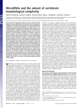 Micrornas and the Advent of Vertebrate Morphological Complexity