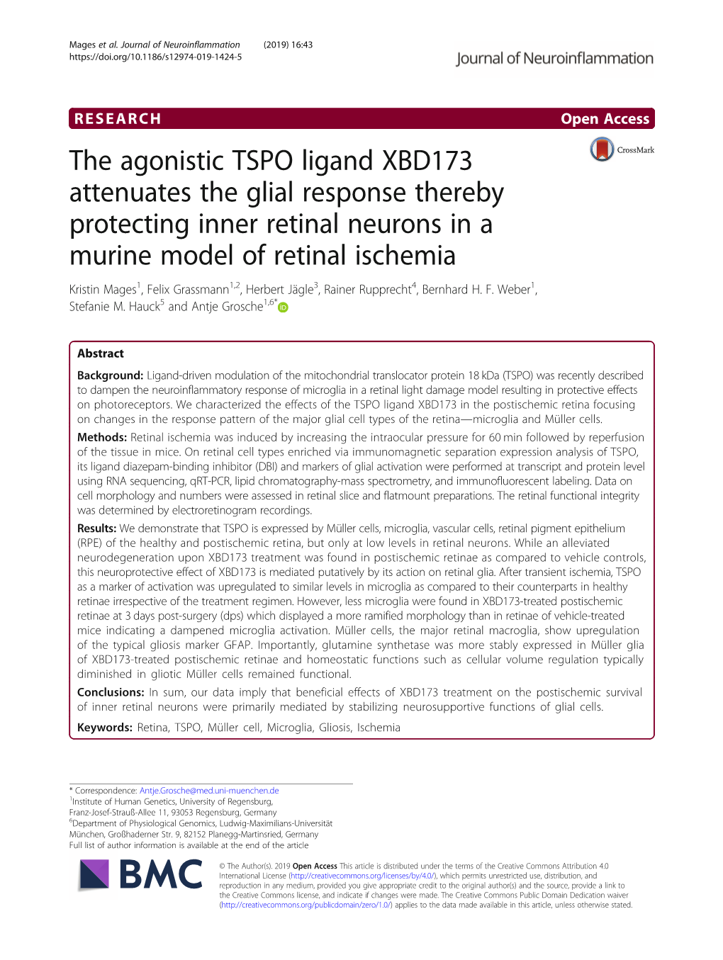 The Agonistic TSPO Ligand XBD173 Attenuates the Glial Response
