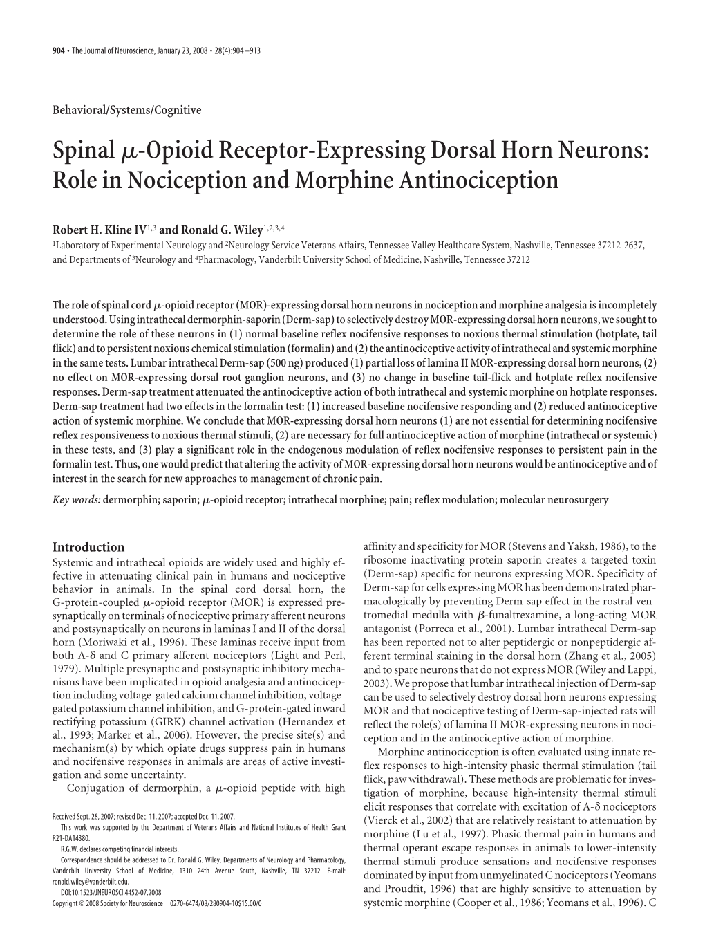 Spinalμ-Opioid Receptor-Expressing Dorsal Horn Neurons