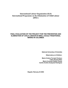 International Labour Organisation (ILO) International Programme on the Elimination of Child Labour (IPEC)