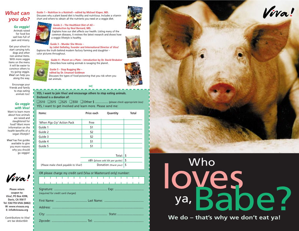 US Babe Leaflet