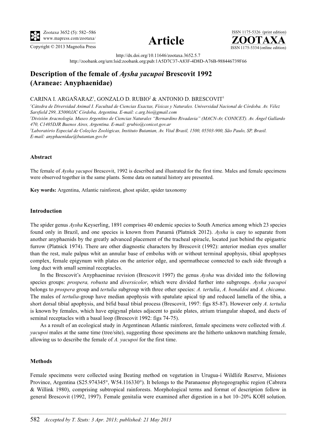 Description of the Female of Aysha Yacupoi Brescovit 1992 (Araneae: Anyphaenidae)