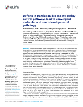 Defects in Translation-Dependent Quality Control Pathways Lead To