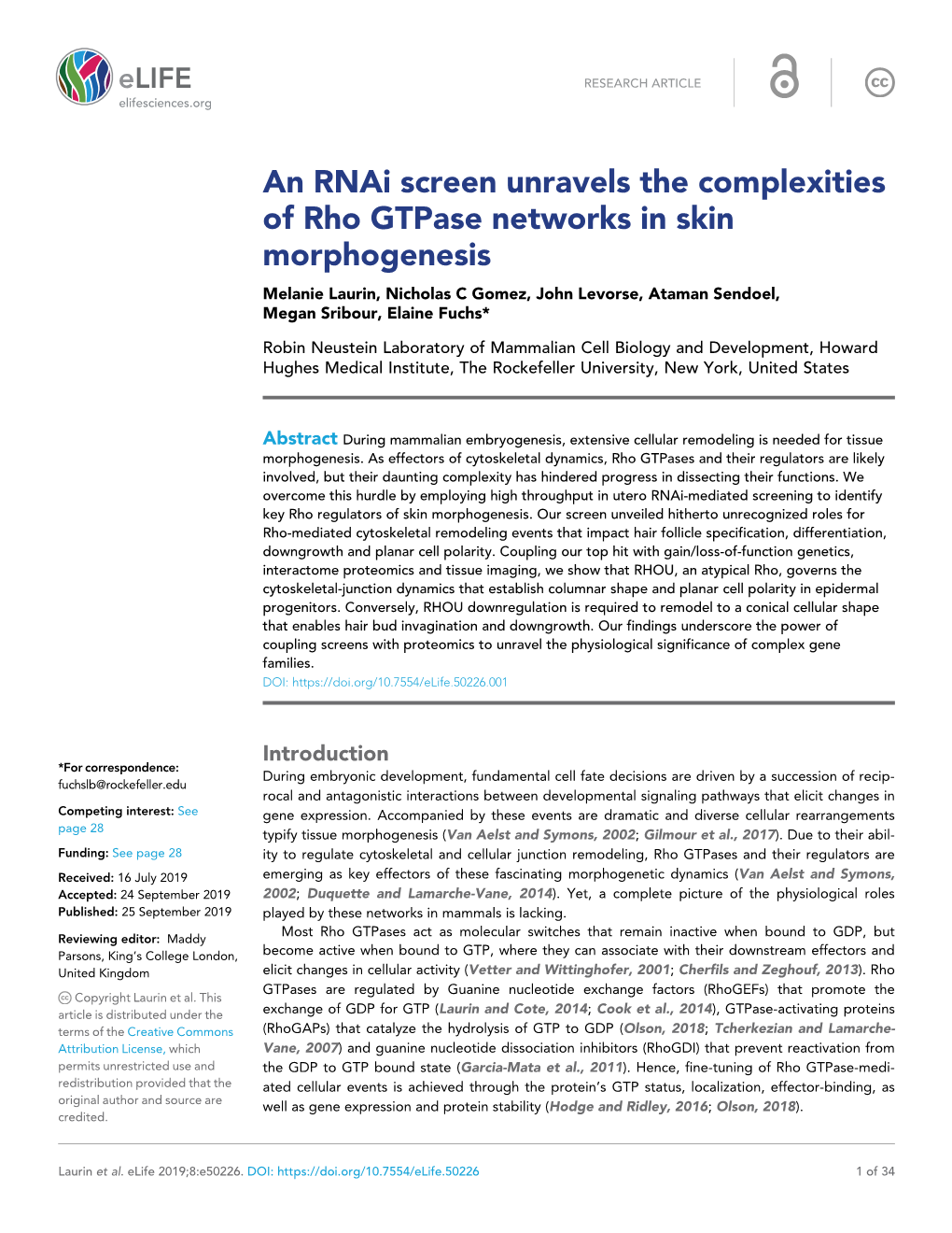 An Rnai Screen Unravels the Complexities of Rho Gtpase