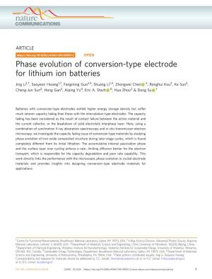 Phase Evolution of Conversion-Type Electrode for Lithium Ion Batteries