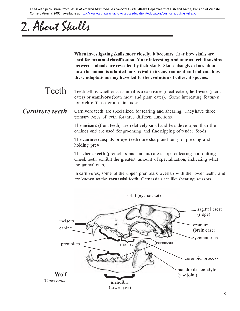 Moose Skull Diagram