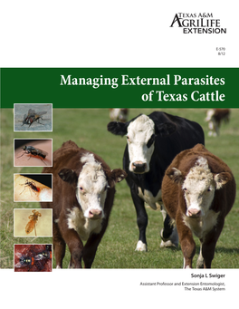 Managing External Parasites of Texas Cattle