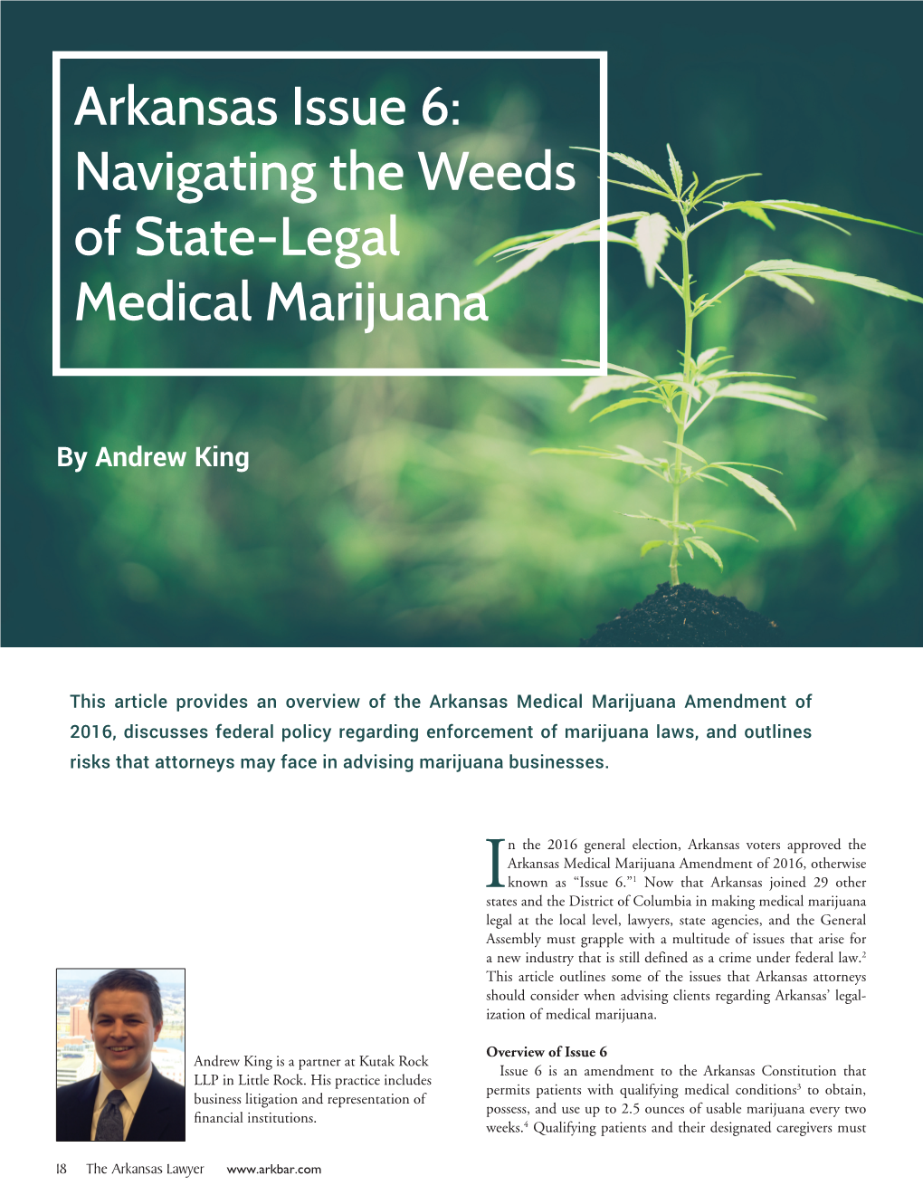 Arkansas Issue 6: Navigating the Weeds of State-Legal Medical Marijuana