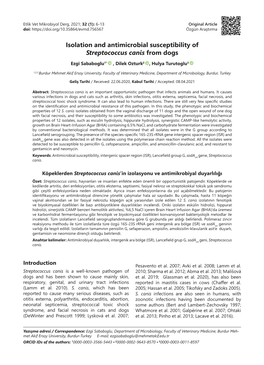 Isolation and Antimicrobial Susceptibility of Streptococcus Canis from Dogs