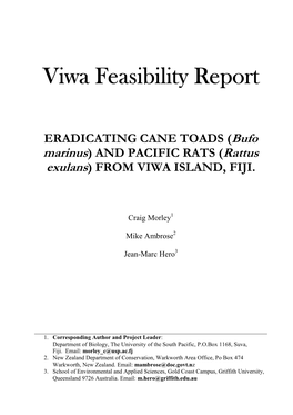Viwa Feasibility Study Report