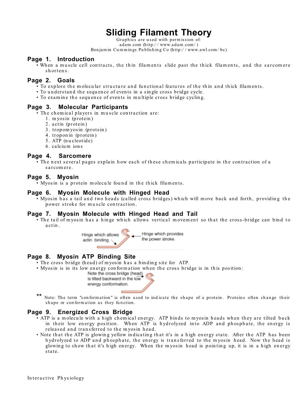 Sliding Filament Theory Graphics Are Used with Permission Of: Adam.Com ( Benjamin Cummings Publishing Co ( Page 1