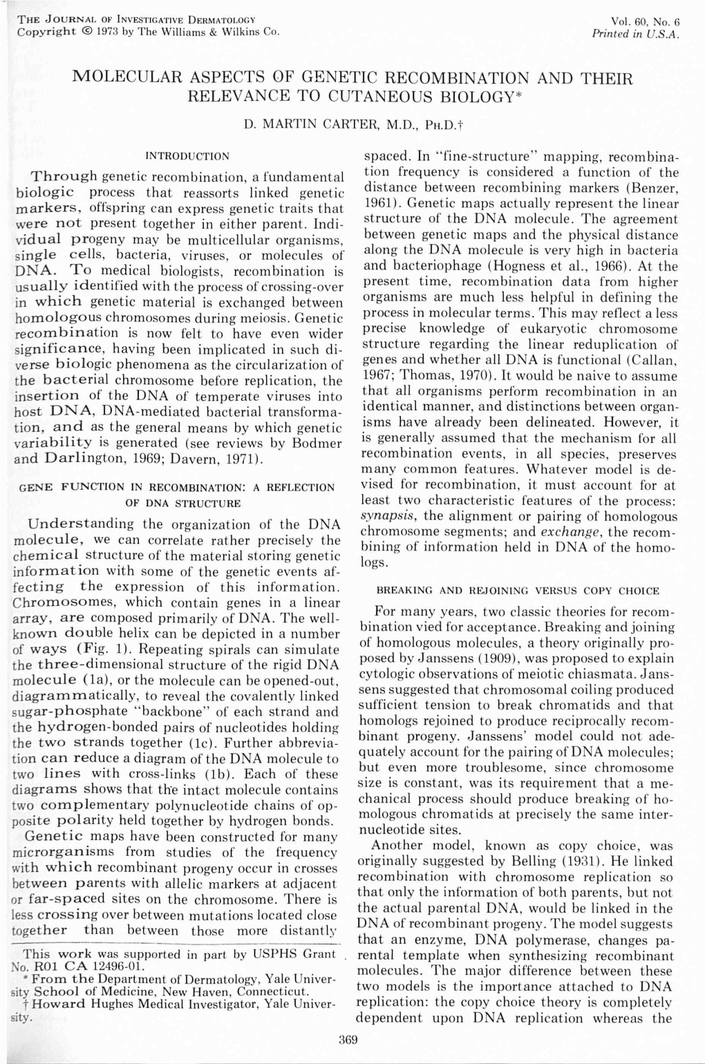 Molecular Aspects of Genetic Recombination and Their Relevance to Cutaneous Biology* D