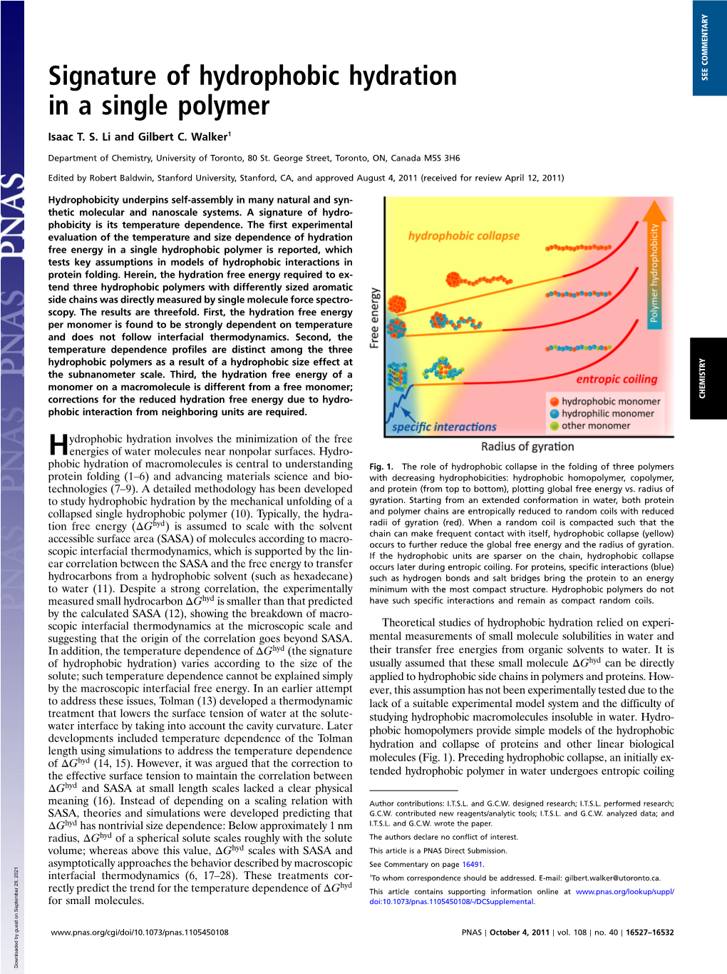 Signature of Hydrophobic Hydration in a Single Polymer