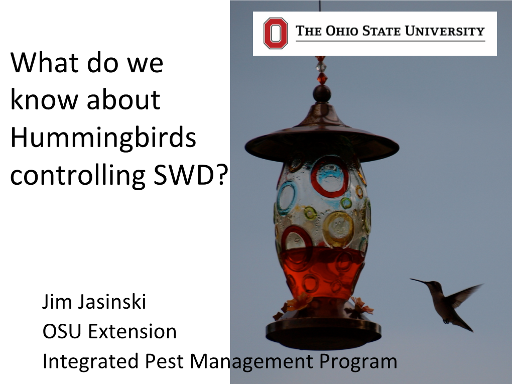 What Do We Know About Hummingbirds Controlling SWD?