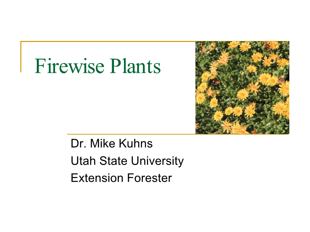 Firewise Plants