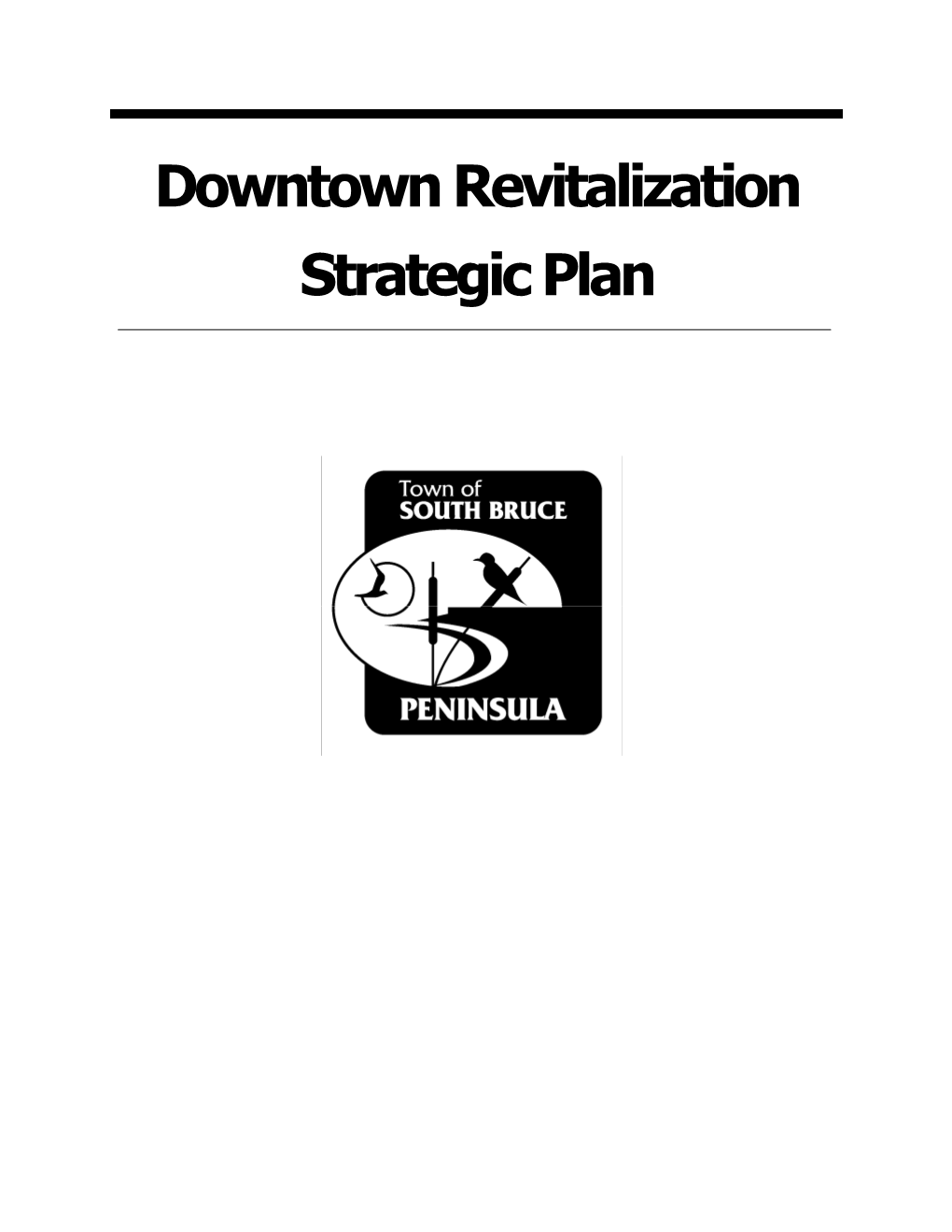 Downtown Revitalization Strategic Plan