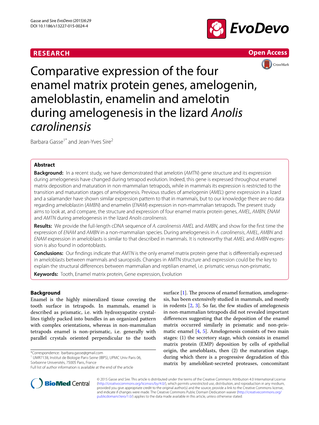 Comparative Expression of the Four Enamel Matrix Protein Genes