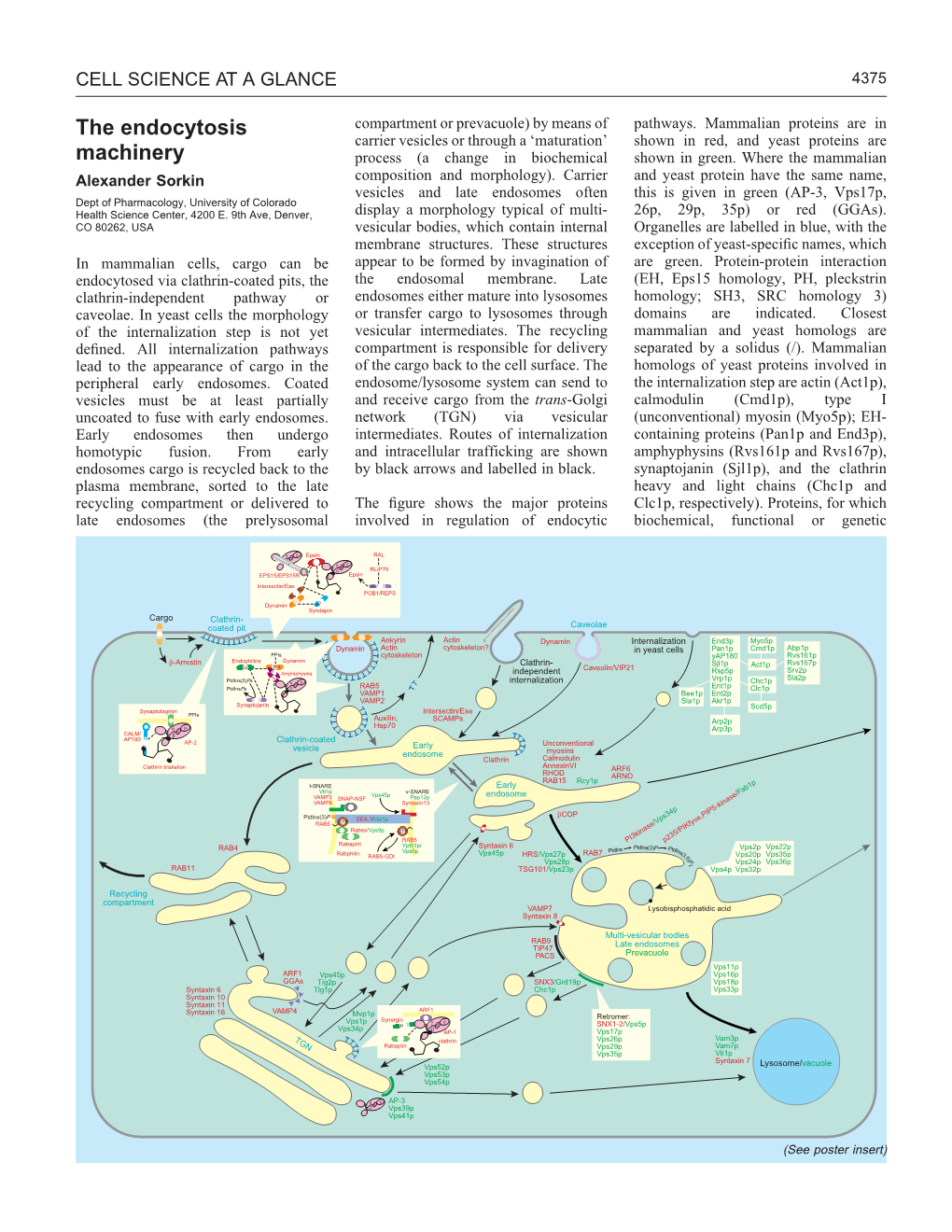 Cell Science at a Glance 4375