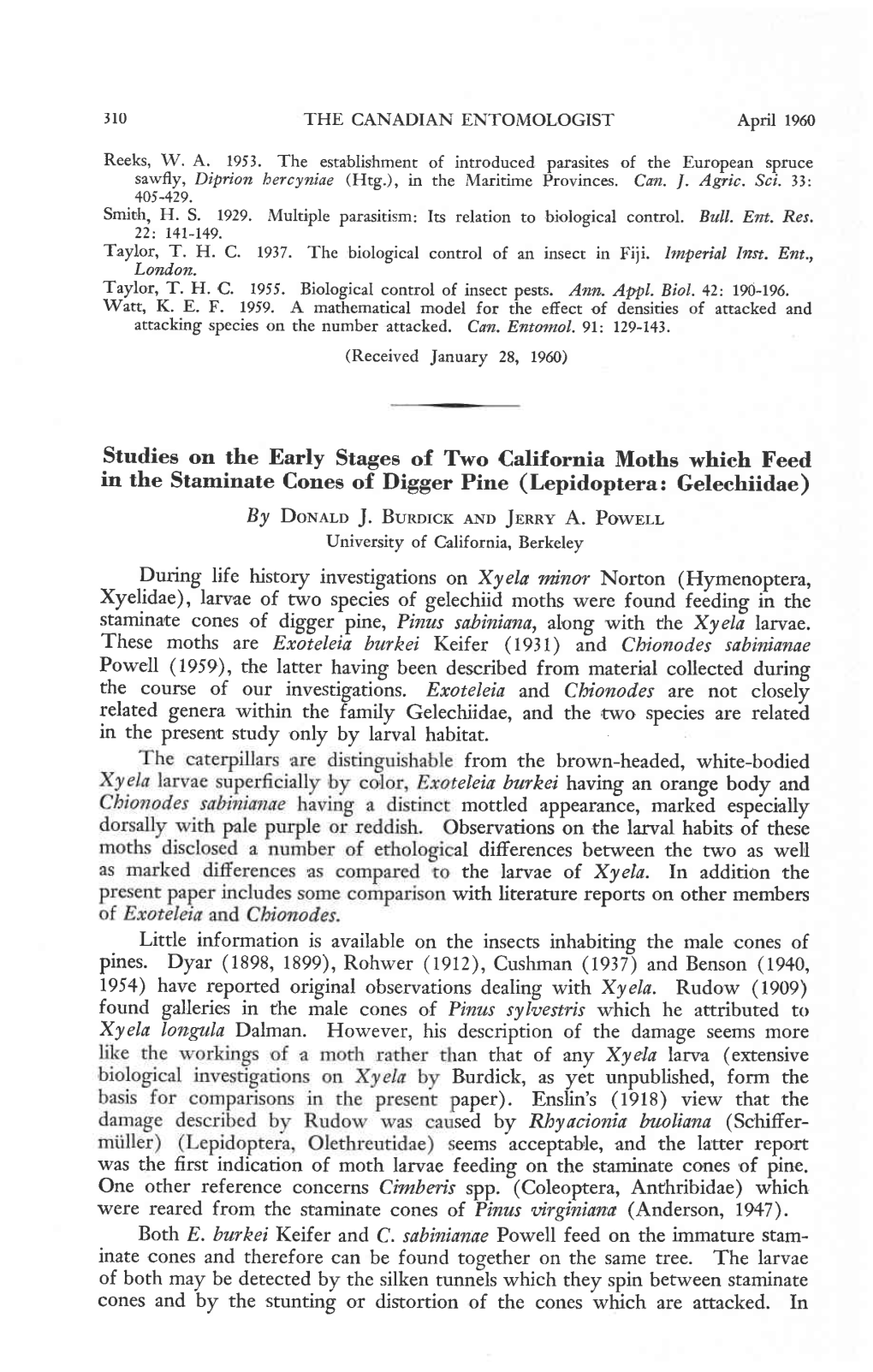 Studies on the Early Stages of Two California Moths Which Feed in the Staminate Cones of Digger Pine (Lepidoptera: Gelechiidae)