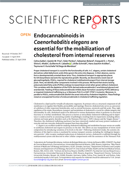 Endocannabinoids in Caenorhabditis Elegans Are Essential for the Mobilization of Cholesterol from Internal Reserves