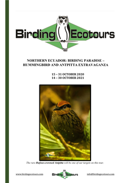 Northern Ecuador: Birding Paradise – Hummingbird and Antpitta Extravaganza