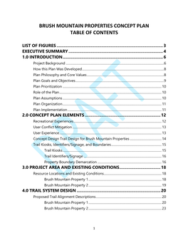 Brush Mountain Properties Concept Plan Table of Contents