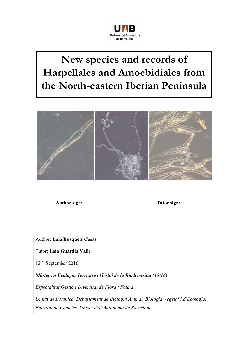 New Species and Records of Harpellales and Amoebidiales from the North-Eastern Iberian Peninsula