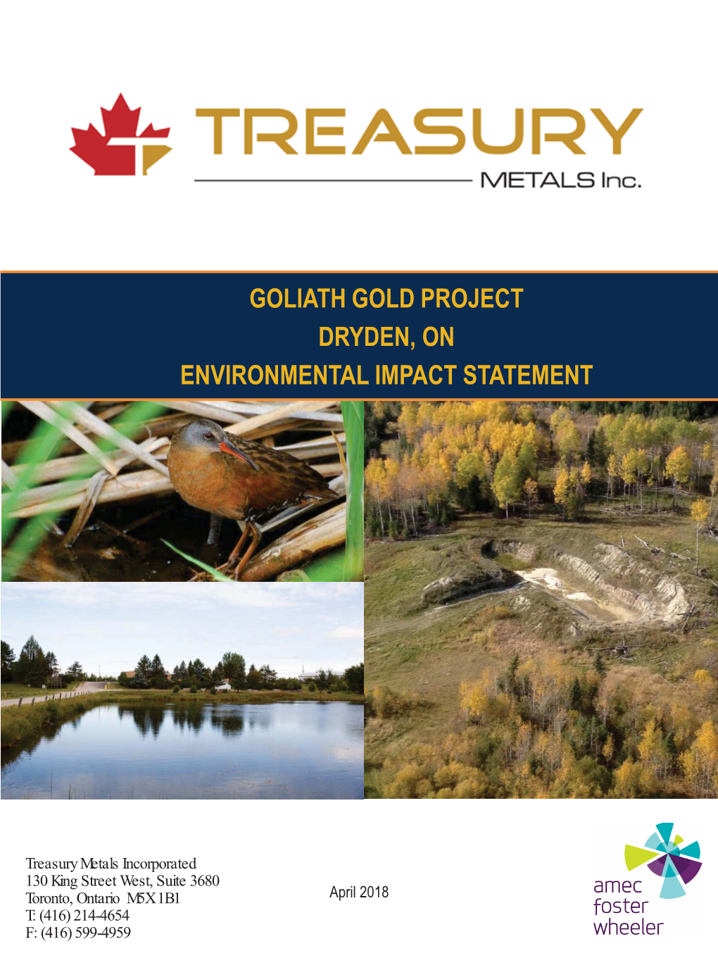 Goliath Gold Project Dryden, on Environmental Impact Statement