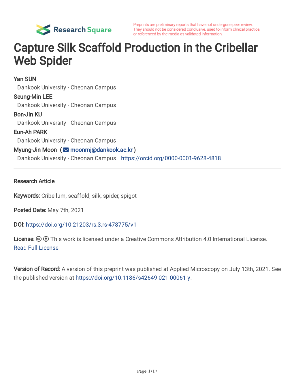 Capture Silk Scaffold Production in the Cribellar Web Spider