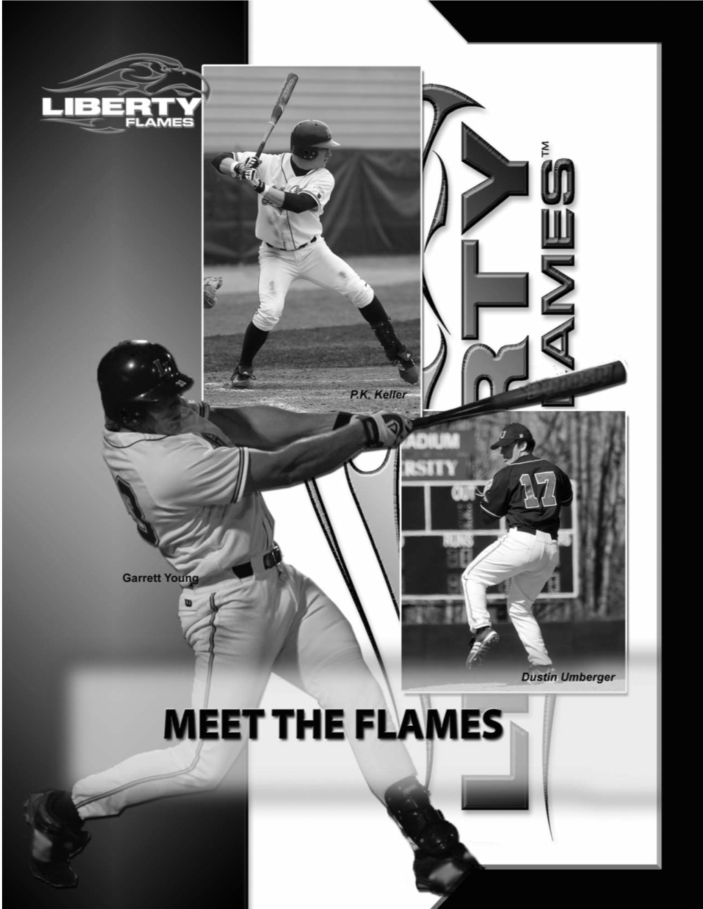 Liberty Flames Baseball