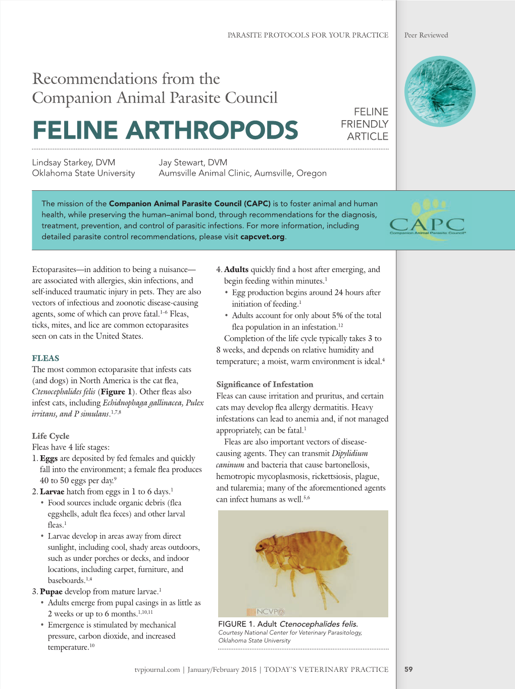 FELINE ARTHROPODS ARTICLE Lindsay Starkey, DVM Jay Stewart, DVM Oklahoma State University Aumsville Animal Clinic, Aumsville, Oregon