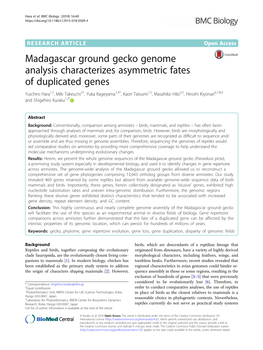 Madagascar Ground Gecko Genome Analysis Characterizes Asymmetric Fates of Duplicated Genes