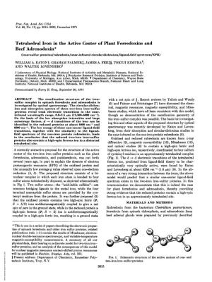 Tetrahedral Iron in the Active Center of Plant Ferredoxins And