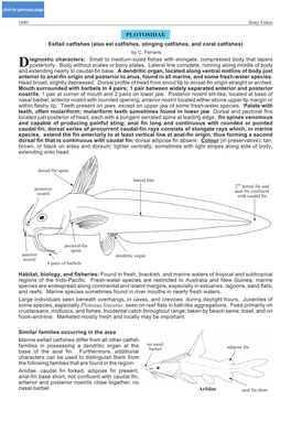 PLOTOSIDAE Eeltail Catfishes (Also Eel Catfishes, Stinging Catfishes, and Coral Catfishes) by C
