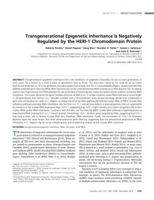 Transgenerational Epigenetic Inheritance Is Negatively Regulated by the HERI-1 Chromodomain Protein